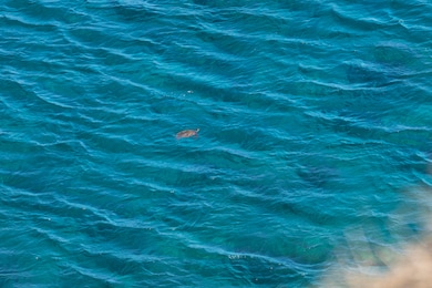 56-2891 Haleakala View Place, Hawi, HI 96719 - photo 3