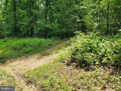 0 Parsons Rd unit WVBE2021220, Hedgesville, WV 25427 - photo 6