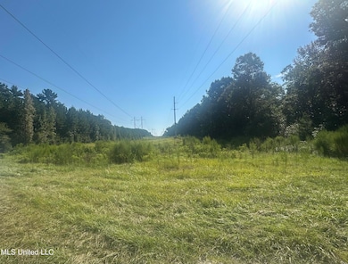 0 Mary Cochran Rd, Lucedale, MS 39452 - photo 5