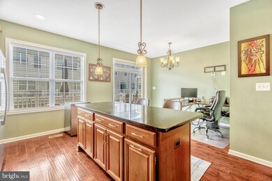 23348 Madison Heights Terrace, Ashburn, VA 20148 - photo 6