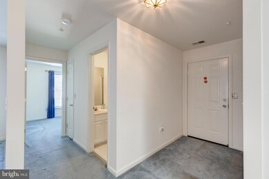 2013 Rudy Serra Dr unit 3B, Sykesville, MD 21784 - photo 4