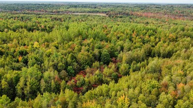 Lot 26 Wolf Run Trail, Greenbush, ME 04418 - photo 7