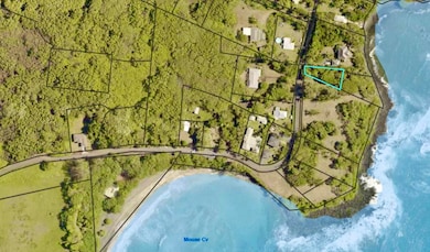 495 Haneoo Rd, Hana, HI 96713 - photo 7