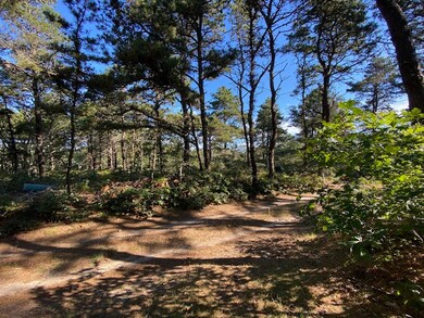 Neighboring 23 acres of vacant town land