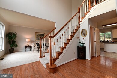 6029 Toomey Ln, Elkridge, MD 21075 - photo 3