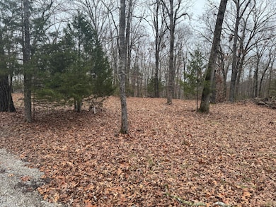 Lot 1 Waterfront 1, Shell Knob, MO 65747 - photo 3