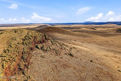 000 Tbd, Greer, AZ 85927 - photo 6