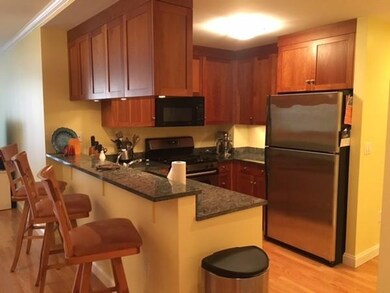 2 St Paul St unit 307, Brookline, MA 02446 - photo 5