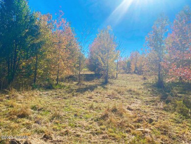 000 Running Deer Ln, Huron, TN 38345 - photo 5