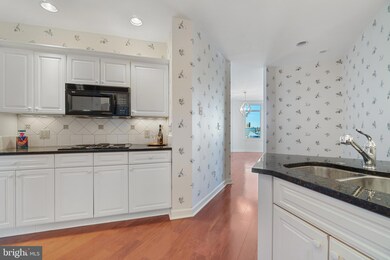 Harborview Towers unit 1507, Baltimore, MD 21230 - photo 7