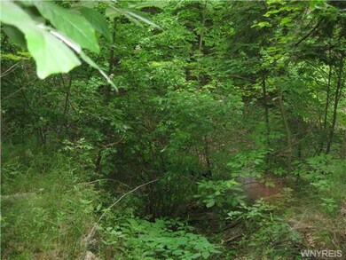 Land/Lot
