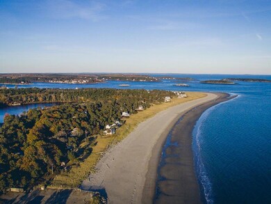 From the beach you will see ospreys...