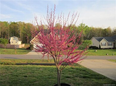 Flowering Front Tree