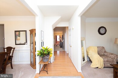 403 Caribbean Ave, Cambridge, MD 21613 - photo 5