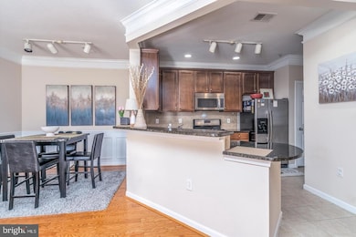 503 Sunset View Terrace SE unit 208, Leesburg, VA 20175 - photo 6