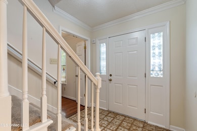 881 Birchfield Place, Southaven, MS 38671 - photo 4