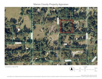 17901 NE 18th Ave, Citra, FL 32113 - photo 6