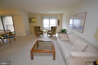 Elmont Condominium unit 304, Baltimore, MD 21215 - photo 6