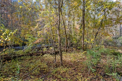 00 River Rd, Tellico Plains, TN 37385 - photo 6