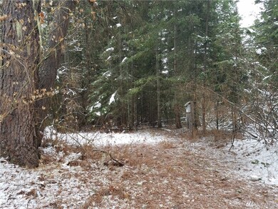 710 Highland Loop, Ronald, WA 98940 - photo 7