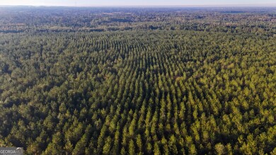 0 Buckeye Rd unit 10650376, East Dublin, GA 31027 - photo 7