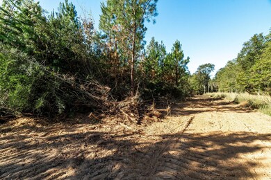 Parcel 4 Dora Barber, Tylertown, MS 39667 - photo 5