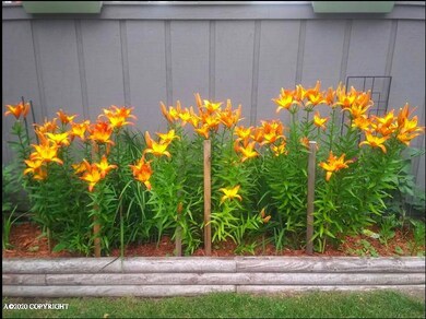 Garden Beds