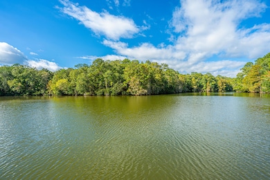 1075 Chapel Branch Rd, Santee, SC 29142 - photo 3