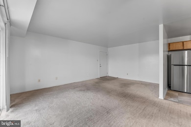4270 E Capitol St NE unit 301, Washington, DC 20019 - photo 6