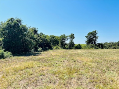 1 Pecan Rd, Troy, TX 76579 - photo 5