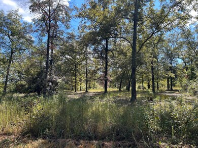 2000 Oak Hill Rd, Eastover, SC 29044 - photo 7