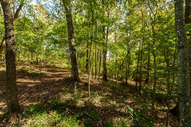 0 Highway 52e unit RTC3031922, Portland, TN 37148 - photo 6