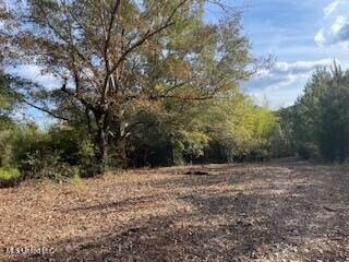 1043 24th St, McComb, MS 39648 - photo 5