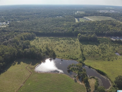 0 New Harmony Rd unit 35 acres +/-, Clanton, AL 35045 - photo 6