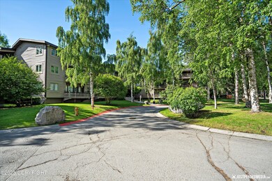 01-DSC02436