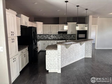 6100 Bluestem Green, Frederick, CO 80530 - photo 6