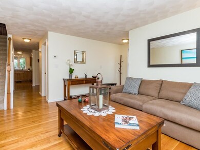 6301 Pouliot Place, Wilmington, MA 01887 - photo 6