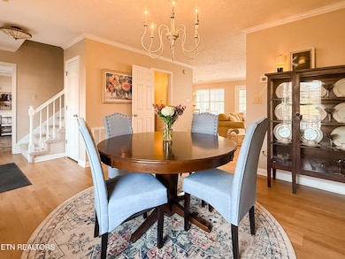 1109 Night Cap Ln, Knoxville, TN 37919 - photo 6