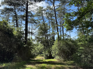 2 +/- Acres Hwy 49, Collins, MS 39428 - photo 3