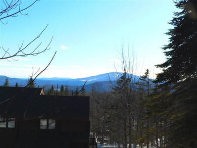 82 Ridges Way unit 700-3, Peru, VT 05152 - photo 2