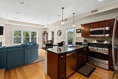 841 Lagrange St unit 3, West Roxbury, MA 02132 - photo 7