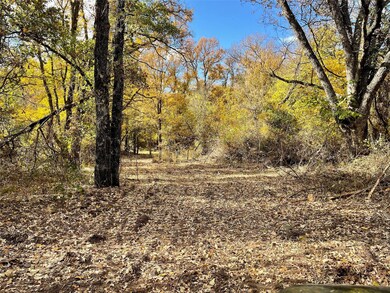 TBD Indian Camp Rd, Weatherford, TX 76087 - photo 6
