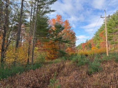 954 State Highway 9n, Keeseville, NY 12944 - photo 3