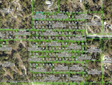 0 Rock Duck Ave unit 2256822, Weeki Wachee, FL 34614 - photo 4