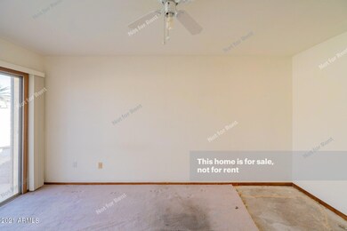 photo_10