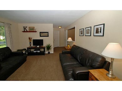 Living Room. Carpet in living and dining rooms was
