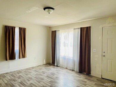 501 S Cypress, Parma, MO 63870 - photo 4