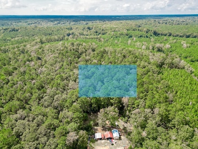 00 Florida 81, Ponce de Leon, FL - photo 5