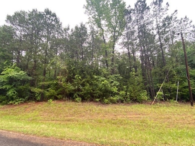 0 Isaac Creek Rd, Homer, LA 71040 - photo 3