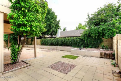 Backyard3